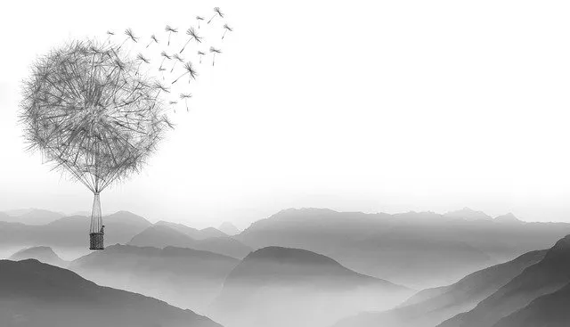 dandelion 1622100 640