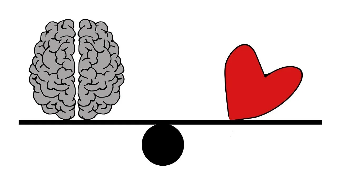 equilibre dynamique psychoeducation